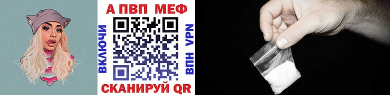 A PVP VHQ  Сольвычегодск 