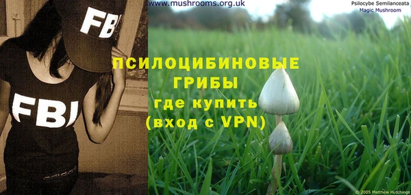 гидра Абинск