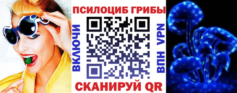 где купить наркоту  Сольвычегодск  Галлюциногенные грибы Magic Shrooms 